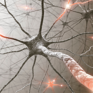 nervous system regulation session Tenerife, body mind spirit