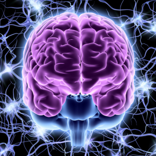 nervous system regulation session Tenerife, body mind spirit