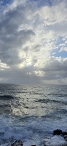 Judith McFadden Nervous System Mentor