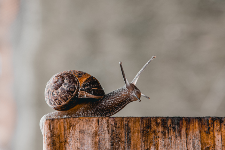 Anxiety is a messgae your body is giving you..